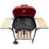 Гриль GREEN GLADE ASK21